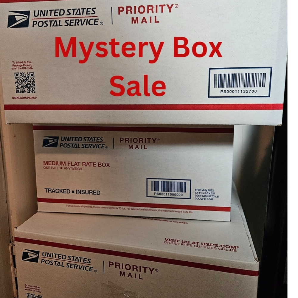 #5 Mystery Lot - Old Navy Tanks Size L